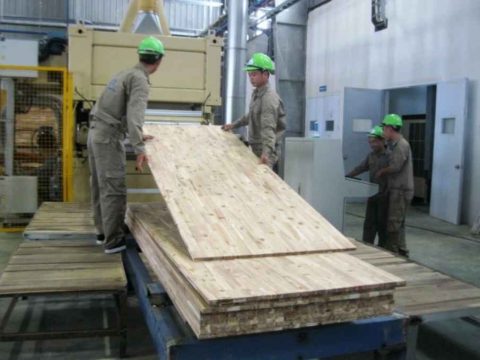 Tuyển 45 Nam Chế biến gỗ tấm tại Okayama Nhật Bản phỏng vấn 24/03/2018
