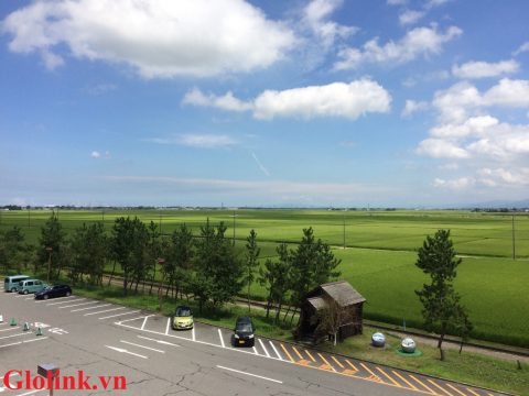 Niigata –  Vùng quê và những cánh đồng bát ngát